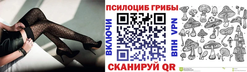 Галлюциногенные грибы Cubensis  где продают   Балашов 